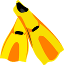 flippers